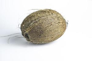 kokos nöt isolerat på vit bakgrund foto