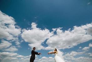 par på blå himmel bakgrund foto