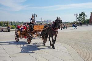 Warszawa, Polen, 2014. häst och transport i de gammal marknadsföra fyrkant i Warszawa foto