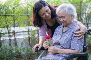 vårdgivare dotter krama och hjälpa asiatisk senior eller äldre gammal dam kvinna med röd ros på rullstol i parken. foto