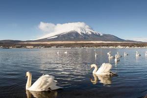 montera fuji återspeglas i sjön yamanaka i gryningen, japan. foto