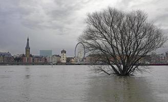 extrem väder - träd stående i de vatten av en översvämmad fot väg i Düsseldorf, Tyskland foto