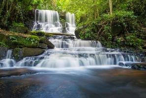 tropisk skog djungel flod ström vattenfall berg landskap natur foto