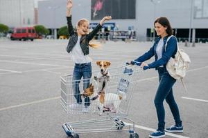 glad att ung mamma, dotter och deras två hundar i kundvagnen kommer hem från köpcentret, shoppar under helgen, njuter av fritiden, poserar tillsammans utomhus. familjedag. bra känslor koncept foto