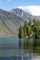 en vertikal bild av de skog och en berg topp längs de Strand av sjö mcdonald i glaciär nationell parkera, montana. foto