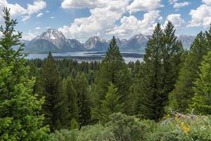 Jackson sjö förbise på signal berg väg i stor teton nationell parkera, wyoming. foto