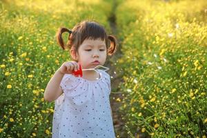 söt liten asiatisk flicka är blåser en tvål bubblor i de fält av gul blommor i en solig sommar kväll, på de solnedgång med kopia Plats foto