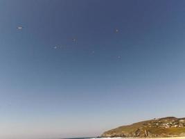 flock av seagulls tar av de flyg foto