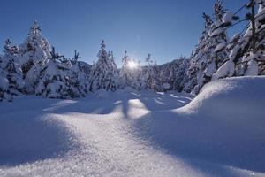 vinter- soluppgång med färsk snö täckt skog och bergen foto