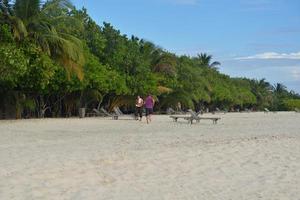 tropisk strand se foto