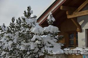 vinter bergslandskap foto