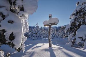 trä- korsa täckt med färsk snö på skön färsk vinter- morgon- foto