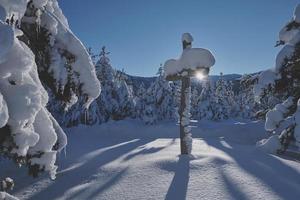 trä- korsa täckt med färsk snö på skön färsk vinter- morgon- foto