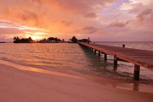 tropisk strand se foto