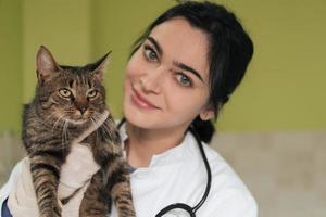 veterinärklinik. kvinnlig läkare porträtt på djursjukhuset håller söt sjuk katt foto