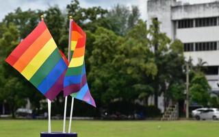 regnbåge flaggor, symbol av HBTQ kön mångfald, som visar i främre av gräs domstol av skola lekplats, suddig byggnad bakgrund, begrepp för HBTQ fester i stolthet månad, juni, över de värld. foto