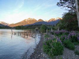 skön sjön i patagonien med mulleins och bergen foto