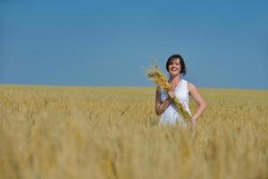 ung kvinna i vetefält på sommaren foto