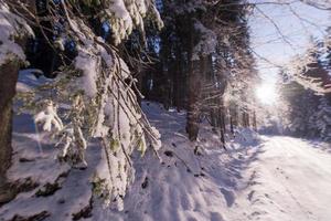 vinter- landskap se foto