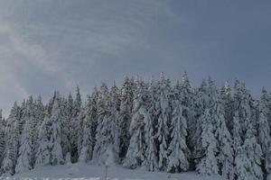 vinter bergslandskap foto