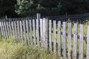 trä- staket för säkerhet foto