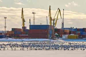 hamnkranar, containerfartygsterminal, lastcontainergård foto
