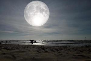 landskap måne över de horisont på hav och månsken. panorama med de luna av natt. stor mystisk fantastisk se. mitt under hösten festival eller halloween begrepp. de full måne var möblerad förbi nasa. foto