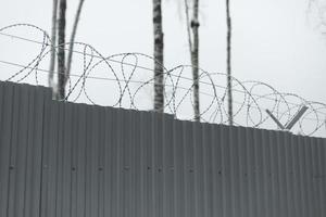stålstängsel med taggtråd. staket i skogen. privat territorium. foto