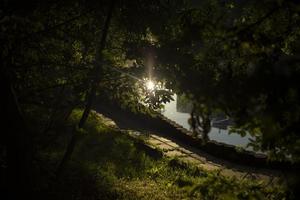 parkera på gryning. nära stad sjö. grönska i sommar i stad. foto