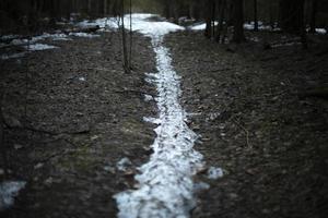 väg av snö i skog. smält spår i parkera. foto