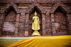 thailand buddha foto