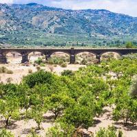 citrus- trädgård i alcantara flod dal i sicilien foto