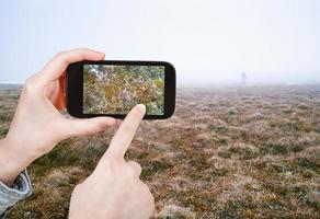 turist tar Foto av arktisk tundra i vår