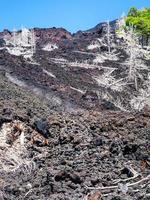 se av härdad lava strömma på backe av etna foto