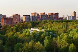 grön urban parkera i sommar kväll foto