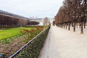 palais-royal trädgård i paris foto