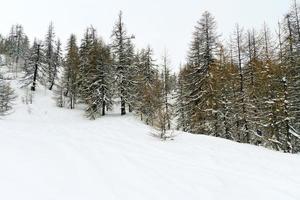 snö berg backe i skidåkning område via lattea foto