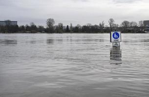 extremt väder - översvämmad fotgängarzon i Köln, Tyskland foto