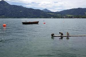 på de vid vatten av sjö schliersee i Bayern, Tyskland foto