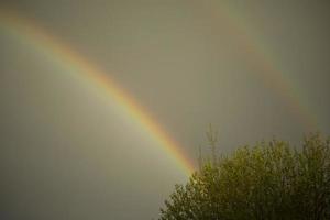 regnbåge i himmel. refraktion av ljus. väder efter regn. ljus båge av annorlunda färger. foto