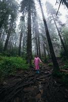 ung kvinna i en regnkappa promenader genom de skog i de regn foto