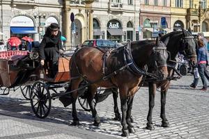 Prag, Tjeckien, 2014. Häst och vagn på det gamla torget i Prag foto