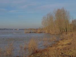 de flod Rhen i wesel foto