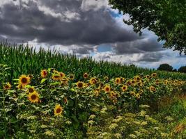 sommar tid på de tysk by weseke foto