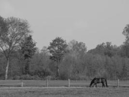 sommar tid i de tysk muensterland foto