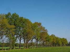 vandring nära reken i de tysk muensterland foto