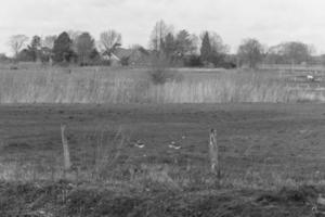 vandring i de tysk Westfalen foto