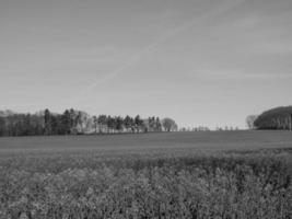 westfaler landskap nära bilderbeck foto