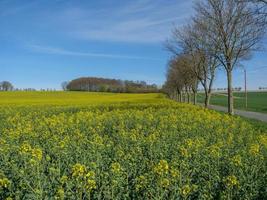 vår tid i de tysk baumberge foto