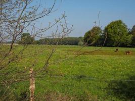 vandring nära reken i de tysk muensterland foto